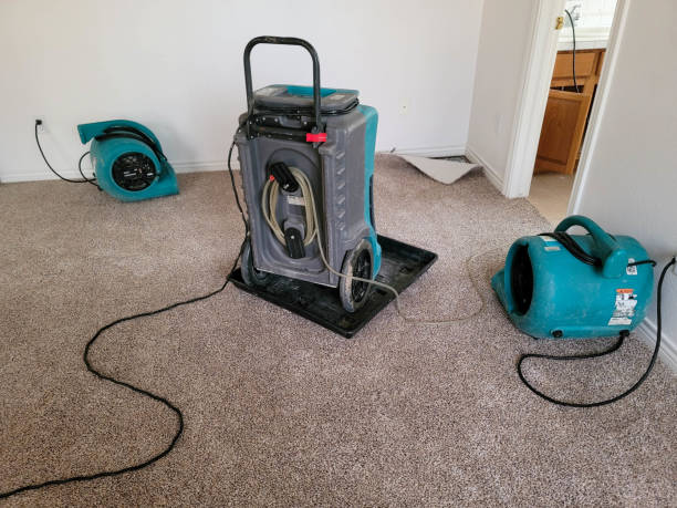 Best Flood restoration services  in Clay, KY