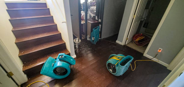 Best Carpet water damage restoration  in Clay, KY