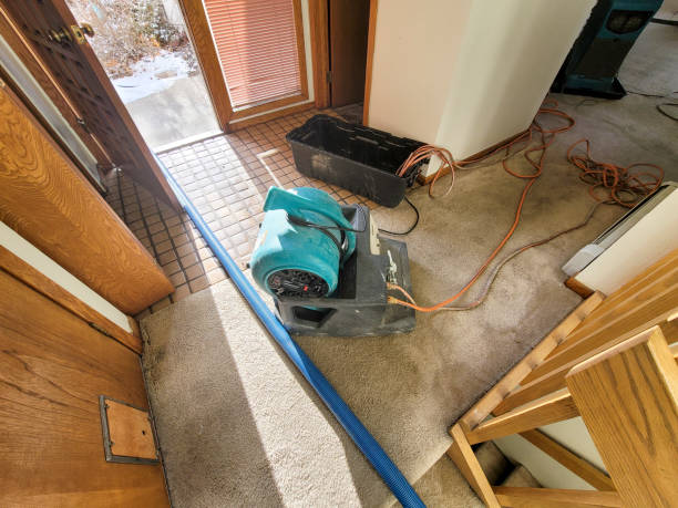 Best Water damage restoration services  in Clay, KY