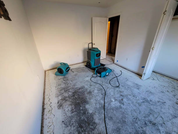 Clay, KY Water damage restoration Pros