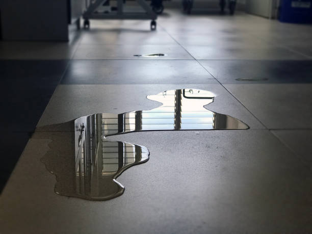 Professional Water damage restoration in KY