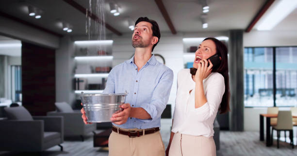 Best Carpet water damage restoration  in Clay, KY